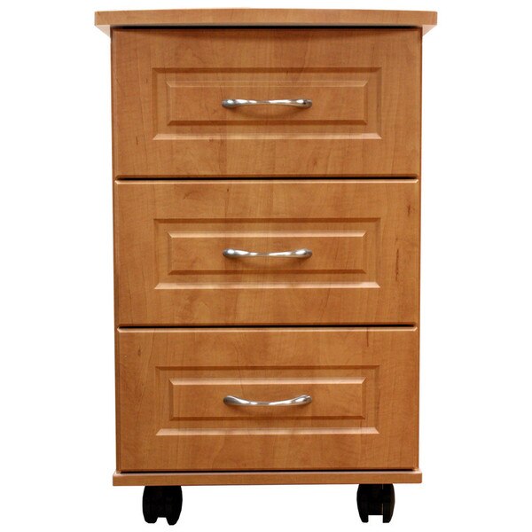 Amico Oliver Bedside DiaMedical USA