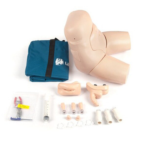 Laerdal Interchangeable Catheterization and Enema Task Trainer ...