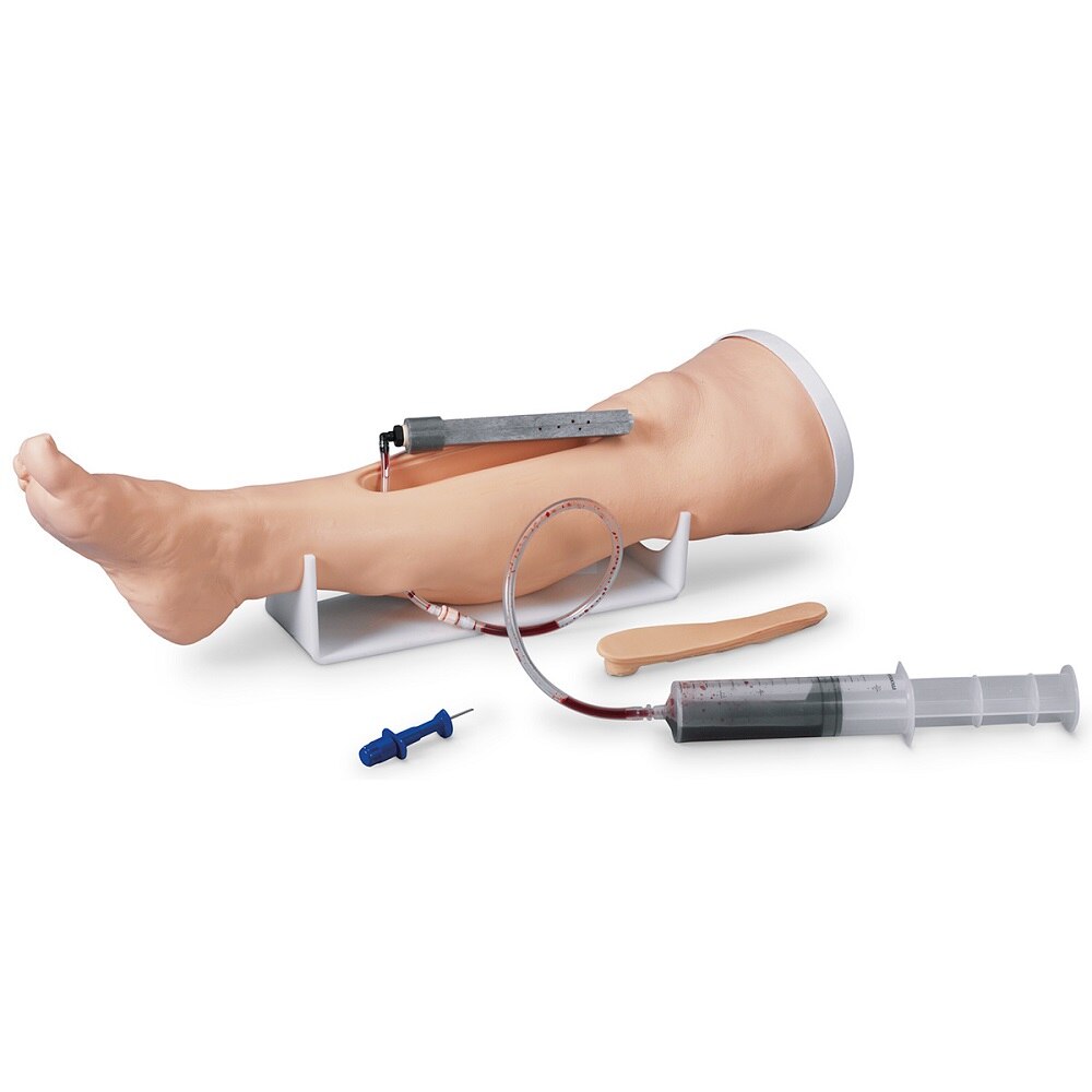 Life/form® Adult Intraosseous Infusion Simulator DiaMedical USA