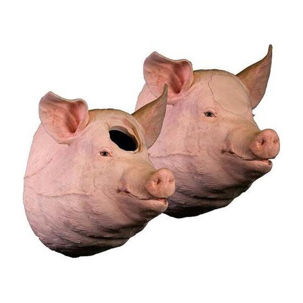 Captive Bolt Gun Training Models DiaMedical USA