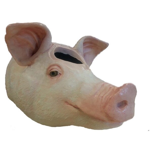 Captive Bolt Gun Training Models DiaMedical USA