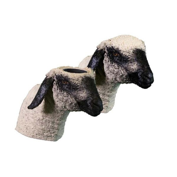 Captive Bolt Gun Training Models DiaMedical USA